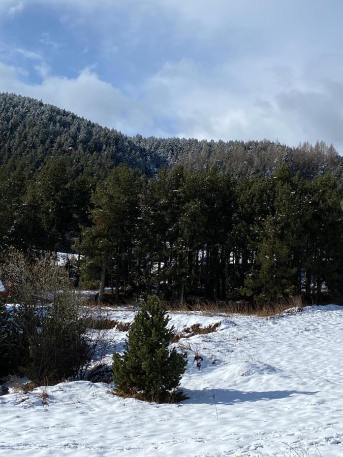 Chalet Au Pieds Des Pistes Le Cambre Aze Bolquere Luaran gambar